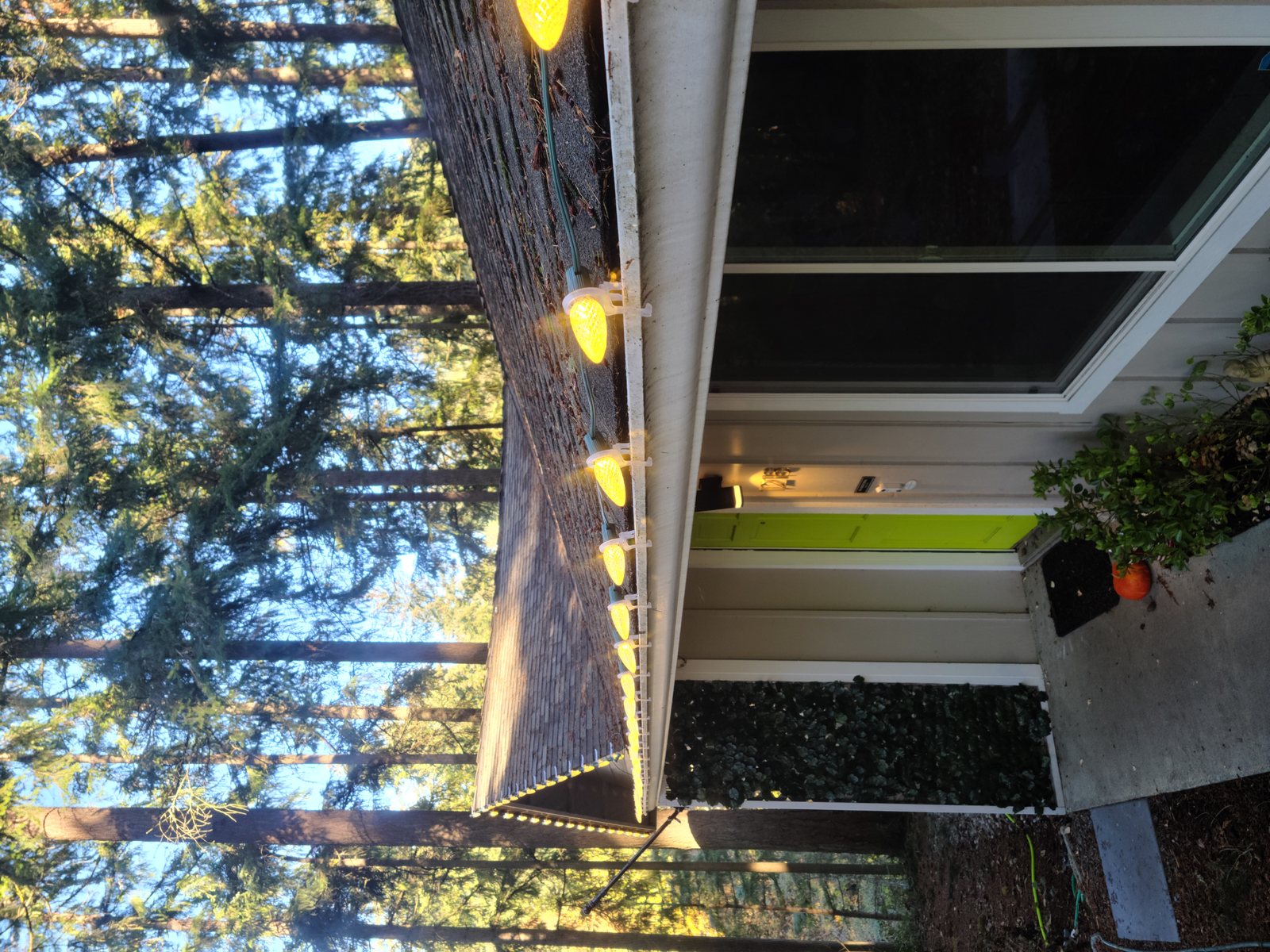 Close-up of C9 bulbs on gutter clips along a roof edge, wiring visible
